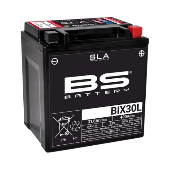 PictureAltAttribute - SLA-BIX30L-1-jpg